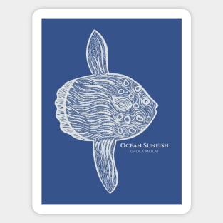 Ocean Sunfish or Mola with Common and Scientific Names Sticker